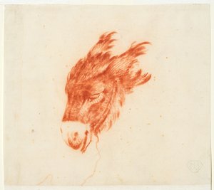 Head of a Donkey by Johann Elias Ridinger