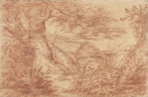 Plants and Grasses by Old Willow Trunks by Johann Elias Ridinger