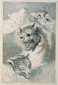 Four Wolf Heads by Johann Elias Ridinger
