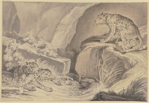 Two Jaguars with Their Young in a Rocky Crevice by Johann Elias Ridinger