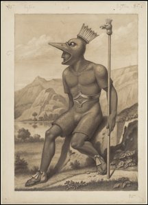 A Collection of Waldeck