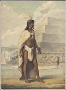A Collection of Waldeck