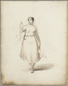 A Collection of Waldeck