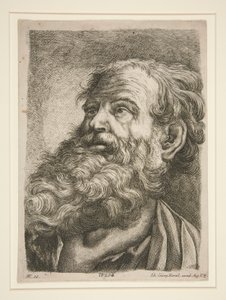 Male Head (of an Apostle?)