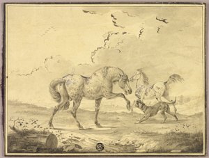 Two Horses Fighting Dog