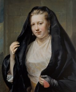 Portrait of an Elegant Lady