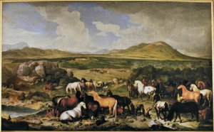 Johann Georg de Hamilton / Lipizzaner by Johann Georg de Hamilton