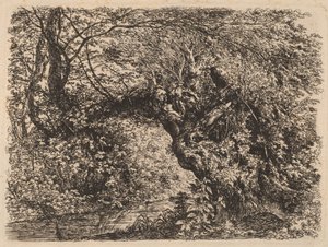 An Old Willow by a Stream by Johann Georg von Dillis