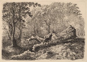 Mouldering Tree Trunk, 1794 by Johann Georg von Dillis