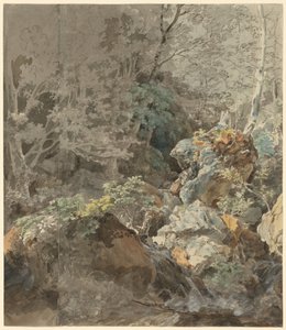 Waterfalls in a Mountain Forest