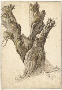 A Pollard Willow by Johann Heinrich Roos