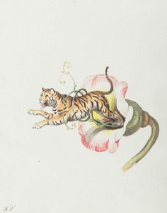 Tiger jumping from a flower crown. Allegory on flower seeds