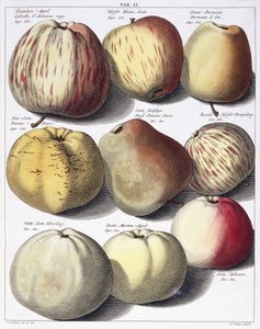 Various Apples