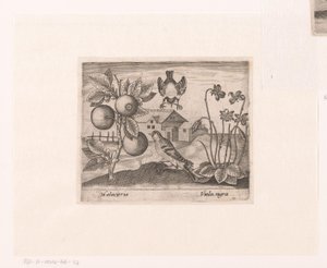 Series of Prints with Flowers and Animals in a Landscape by Johann Hogenberg