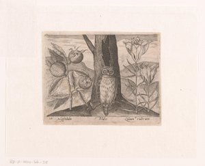 Series of Prints with Flowers and Animals in a Landscape Landscape with Medlar, Lily, and Owl by Johann Hogenberg