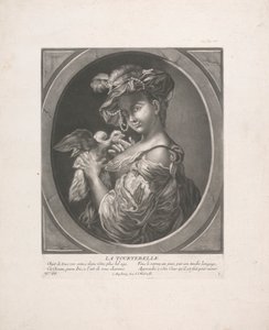 The Turtledove