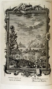 Copperplate Engraving from 