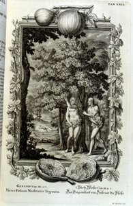 Copperplate Engraving from 