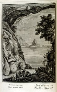 Copperplate engraving from 