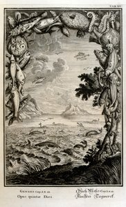 Copperplate engraving from 