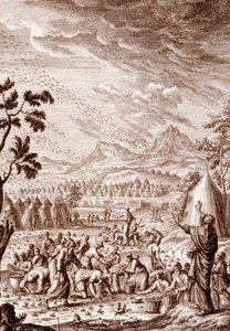 Hebrews fighting a plague of locusts by Johann Jakob Scheuchzer