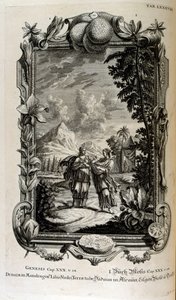 Mandragora Plant, Often Known as Mandrake by Johann Jakob Scheuchzer