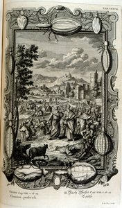 Plague of Lice and Midges by Johann Jakob Scheuchzer