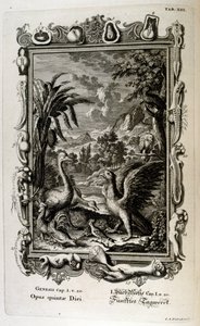 The Fifth Day of Creation: Animals are Created by Johann Jakob Scheuchzer