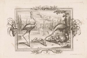 Two Flamingos (Aves Dicta Flaminges from the West Indies) by Johann Jakob Stelzer
