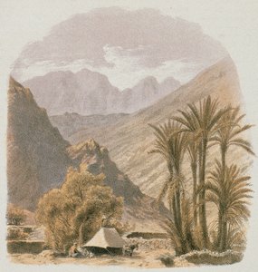 Sinai. Etching by Bernatz et alii - Steinkopk J.F. Editore
