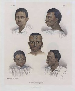 Mozambicans. From Picturesque Journey in Brazil, 1830-1835
