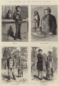 Odd Sketches at the Zoological Gardens by Johann Nepomuk Schonberg