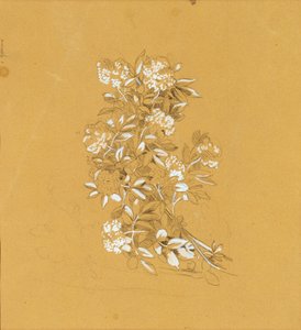 Flower Bouquet