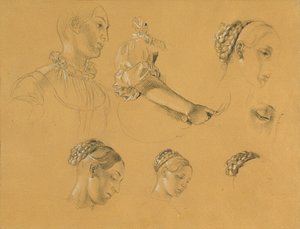 Study for 