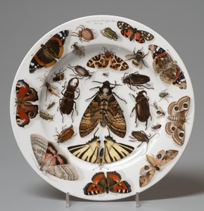 Plate, Lippert & Haas, Schlaggenwald by Johann Quast