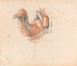 Camel by Johann Rudolph Schellenberg