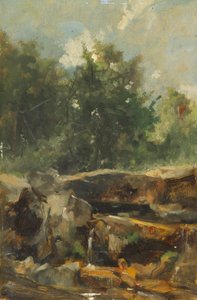Study of a Brook by Johann  Till der Jüngere