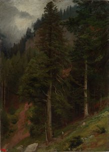 Slope in the Fir Forest by Johann Wilhelm Schirmer