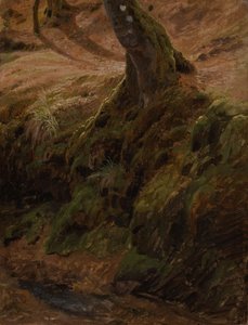 Forest Slope with Tree Trunk