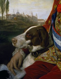 Dog (detail) by Johann Zoffany