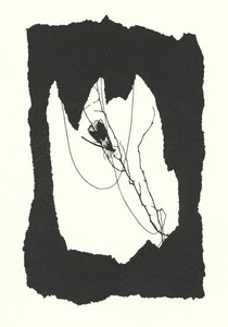 Johanna Beckmann silhouette by Johanna Beckmann