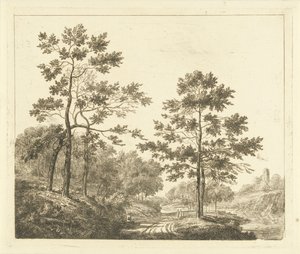 Forest Path in a Hilly Landscape by Johannes Franciscus Christ