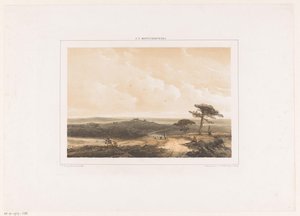 Heathland with Resting Walker and Shepherd with Flock