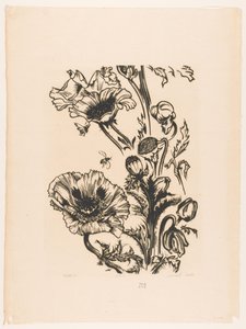 Study of Poppies by Johannes Frederik Engelbert ten Klooster (signed by artist)