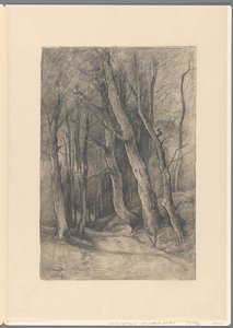 Forest Landscape near Delden by Johannes Gijsbert Vogel