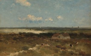 Dune Landscape