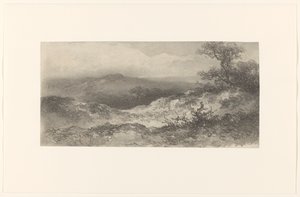 Dune Landscape
