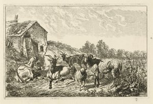 Four Goats and a Sheep by a House by Johannes Mock
