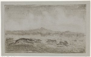 Hare Hunt