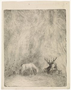 Deer in a Bohemian Forest by Johannes Tavenraat